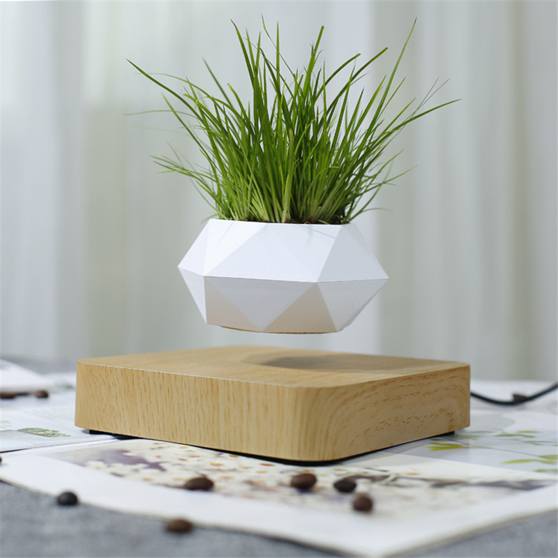 Levitating Plant Pot The Fabulous Gift Shop