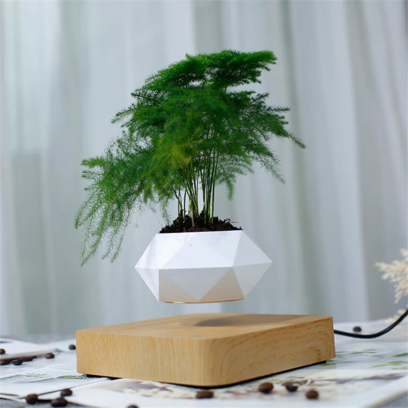 Levitating Plant Pot The Fabulous Gift Shop